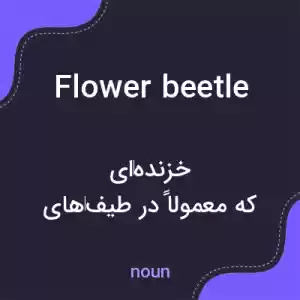 معنی flower beetle به فارسی معنی flower beetle به فارسی