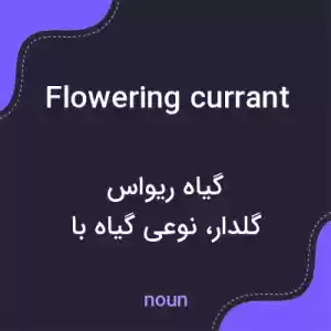 معنی flowering currant به فارسی معنی flowering currant به فارسی