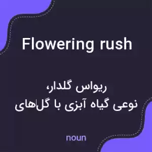 معنی flowering rush به فارسی معنی flowering rush به فارسی