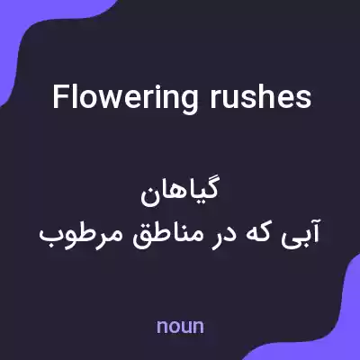 معنی flowering rushes به فارسی معنی flowering rushes به فارسی