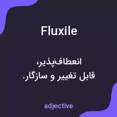 معنی fluxile به فارسی معنی fluxile به فارسی