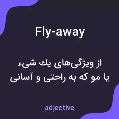 معنی fly-away به فارسی معنی fly-away به فارسی
