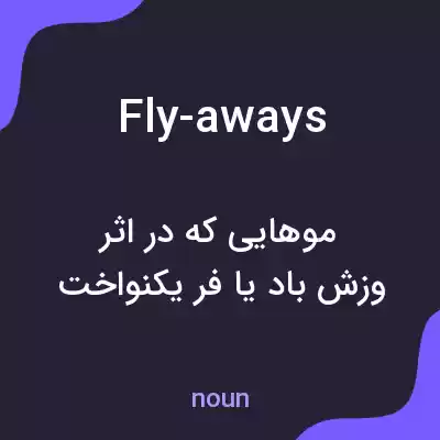 معنی fly-aways به فارسی معنی fly-aways به فارسی