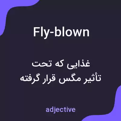 معنی fly-blown به فارسی معنی fly-blown به فارسی