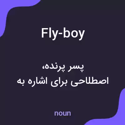 معنی fly-boy به فارسی معنی fly-boy به فارسی