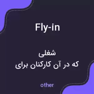 معنی fly-in به فارسی معنی fly-in به فارسی