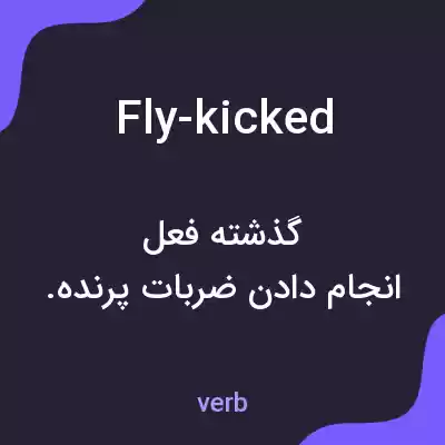 معنی fly-kicked به فارسی معنی fly-kicked به فارسی