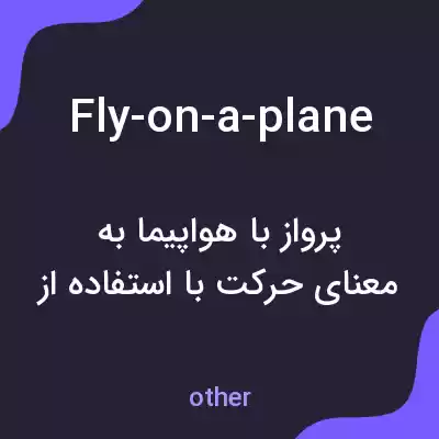 معنی fly-on-a-plane به فارسی