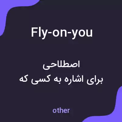 معنی fly-on-you به فارسی معنی fly-on-you به فارسی
