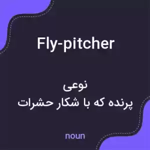 معنی fly-pitcher به فارسی معنی fly-pitcher به فارسی