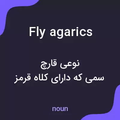 معنی fly agarics به فارسی معنی fly agarics به فارسی