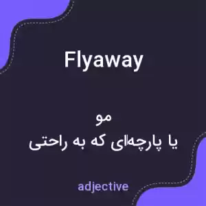 معنی flyaway به فارسی معنی flyaway به فارسی