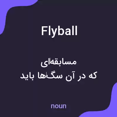 معنی fly ball به فارسی معنی fly ball به فارسی