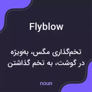 معنی flyblow به فارسی معنی flyblow به فارسی