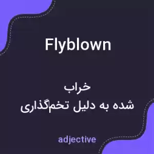 معنی flyblown به فارسی معنی flyblown به فارسی