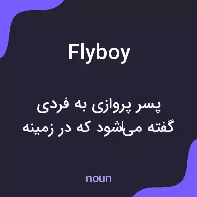 معنی fly boy به فارسی
