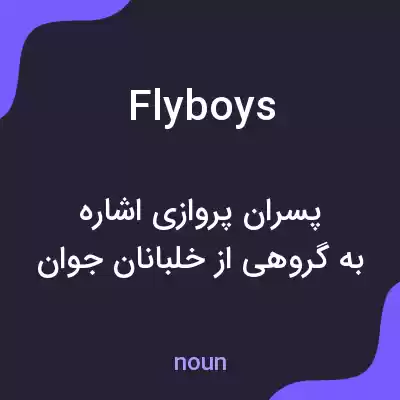 معنی flyboys به فارسی معنی flyboys به فارسی
