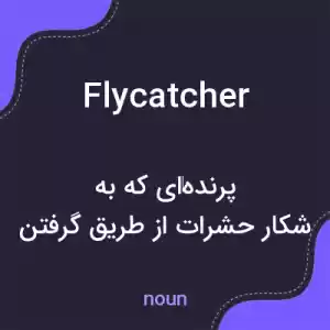 معنی flycatcher به فارسی معنی flycatcher به فارسی