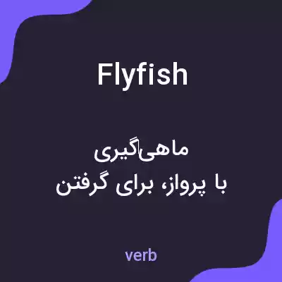 معنی flyfish به فارسی معنی flyfish به فارسی