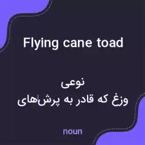معنی flying cane toad به فارسی
