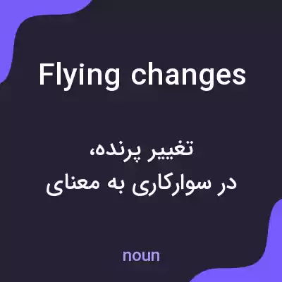 معنی flying changes به فارسی معنی flying changes به فارسی
