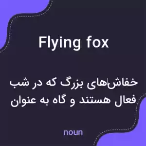 معنی flying fox به فارسی معنی flying fox به فارسی