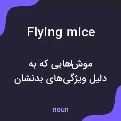 معنی flying mice به فارسی معنی flying mice به فارسی