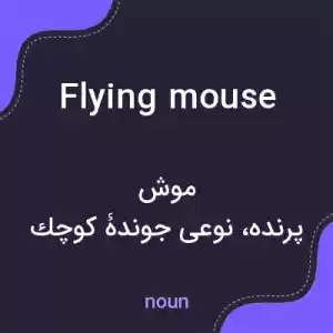 معنی flying mouse به فارسی معنی flying mouse به فارسی