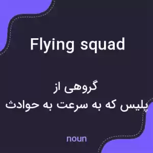 معنی flying squad به فارسی معنی flying squad به فارسی