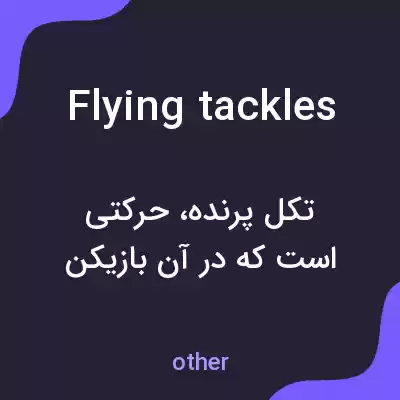 معنی flying tackles به فارسی معنی flying tackles به فارسی