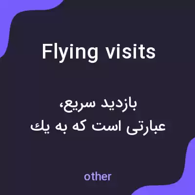 معنی flying visits به فارسی معنی flying visits به فارسی