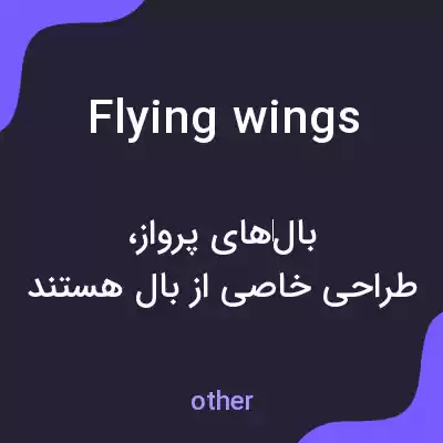 معنی flying wings به فارسی معنی flying wings به فارسی