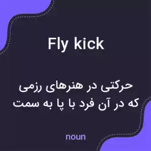 معنی fly kick به فارسی