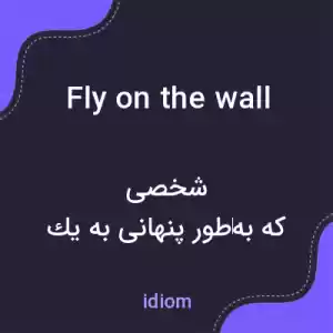 معنی fly on the wall به فارسی