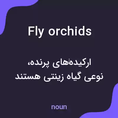 معنی fly orchids به فارسی معنی fly orchids به فارسی