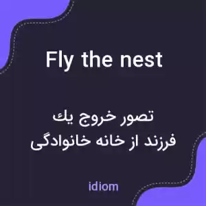 معنی fly the nest به فارسی معنی fly the nest به فارسی