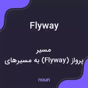 معنی flyway به فارسی معنی flyway به فارسی