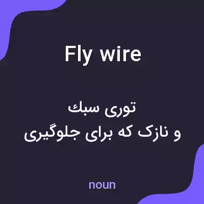 معنی fly wire به فارسی معنی fly wire به فارسی