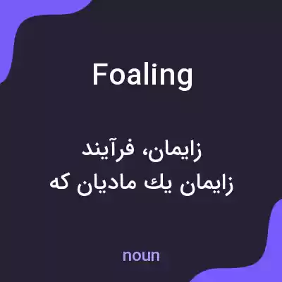 معنی foaling به فارسی معنی foaling به فارسی