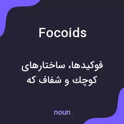 معنی focoids به فارسی معنی focoids به فارسی
