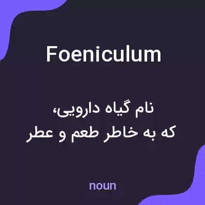 معنی foeniculum به فارسی معنی foeniculum به فارسی