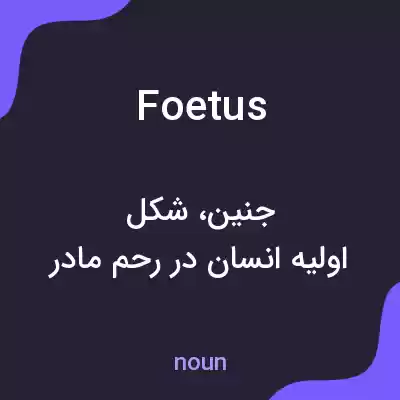 معنی foetus به فارسی معنی foetus به فارسی