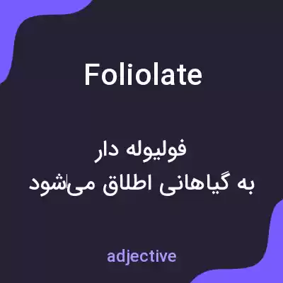 معنی foliolate به فارسی معنی foliolate به فارسی