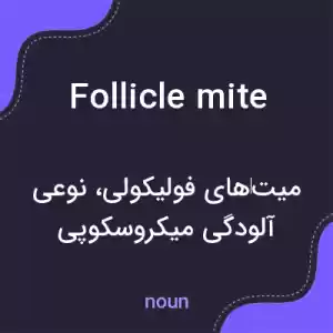 معنی follicle mite به فارسی معنی follicle mite به فارسی