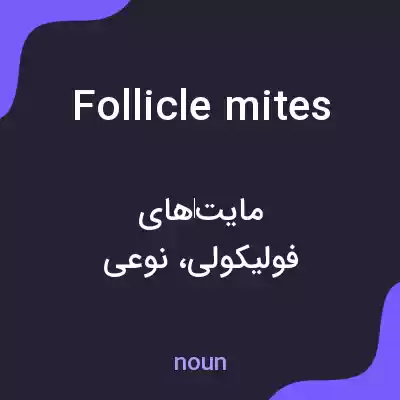 معنی follicle mites به فارسی معنی follicle mites به فارسی