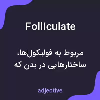 معنی folliculate به فارسی معنی folliculate به فارسی