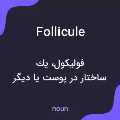 معنی follicule به فارسی معنی follicule به فارسی