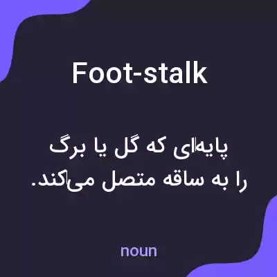 معنی foot-stalk به فارسی معنی foot-stalk به فارسی