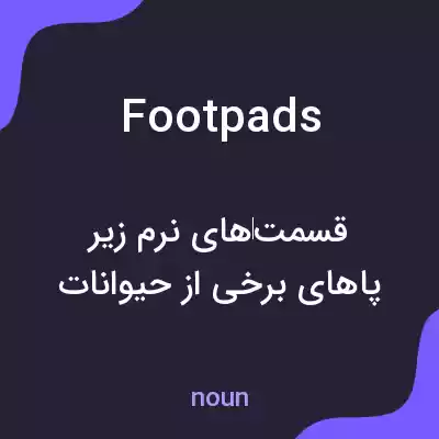 معنی footpads به فارسی معنی footpads به فارسی