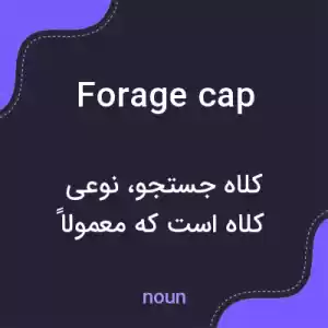 معنی forage cap به فارسی معنی forage cap به فارسی